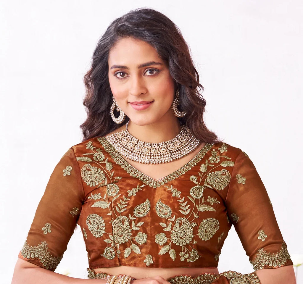Laxmipati Arpita Brown Chiffon Embroidered Saree