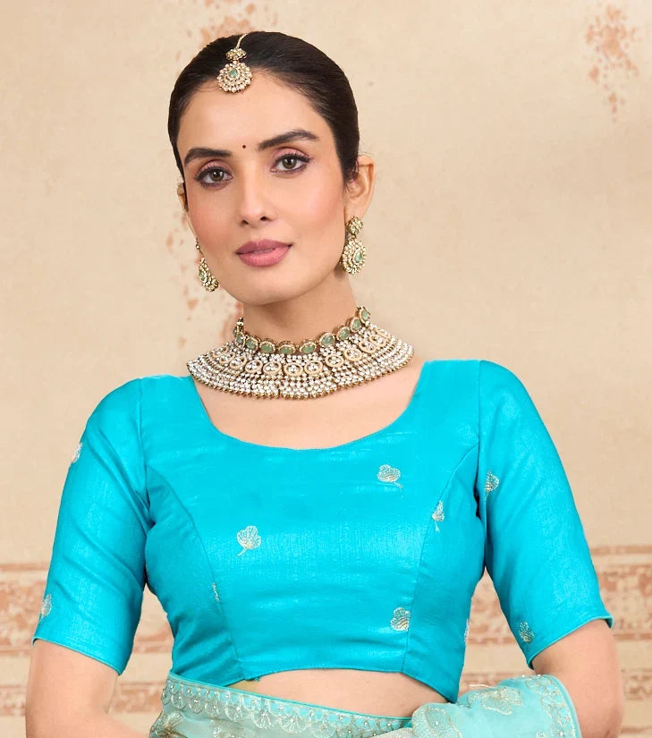 Laxmipati Kurkure Green Tissue Organza Embroidered Saree